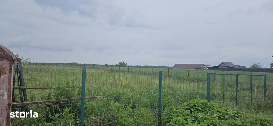 Teren de 1000 mp, în Moara Vlăsiei