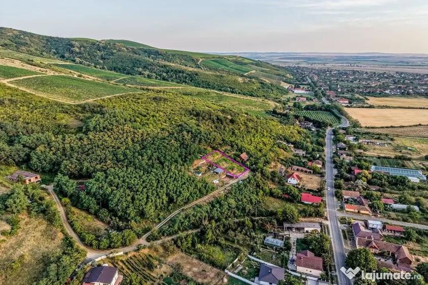 Teren în Miniș