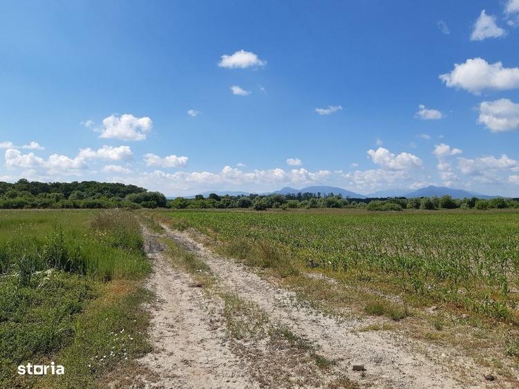 Teren agricol Podu Oltului la limita UAT Harman si UAT Prejmer - 9