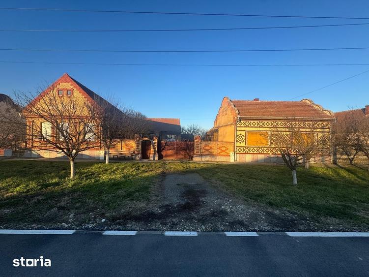 Casă cu Teren 7805 Mp în Belinț