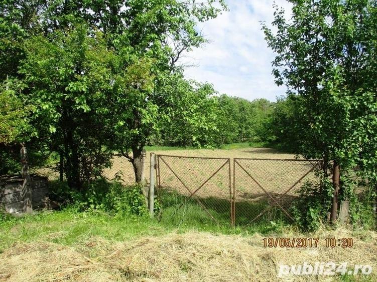 Teren de 1270 mp, în Drajna