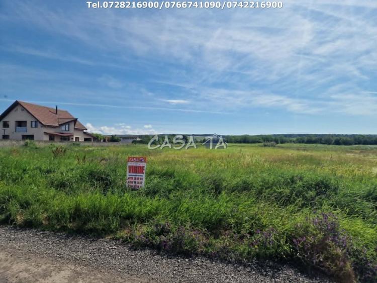 Teren Construcții intravilan de 3405 mp, în Preajba Mare
