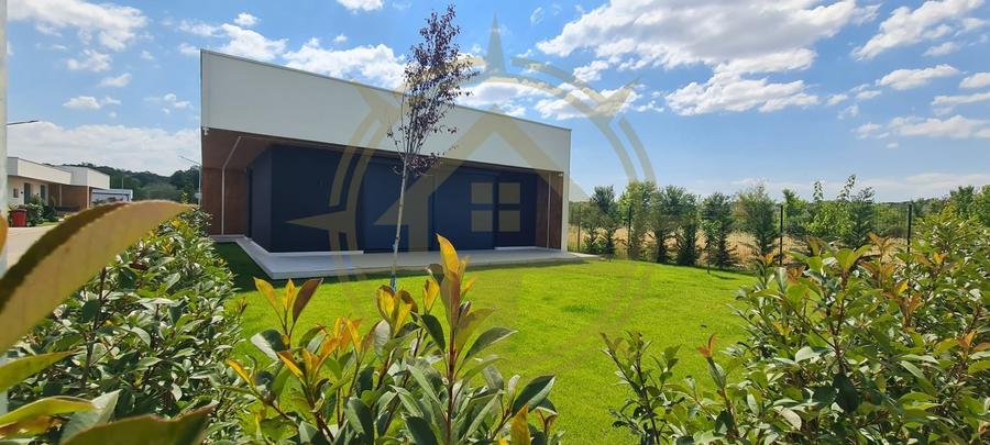 Casă cu 4 camere cu Piscina în Snagov