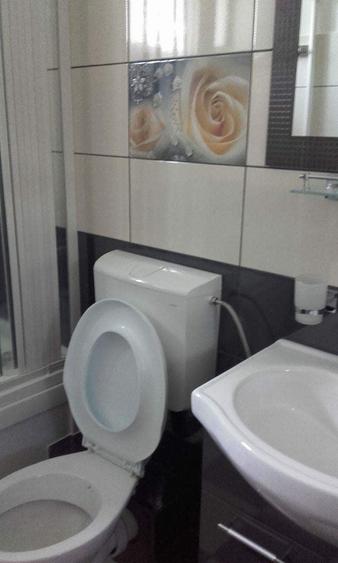 Casă cu 4 camere în Băile Felix