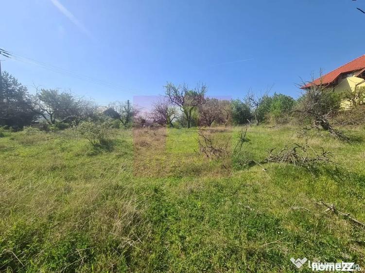 Teren de 2500 mp, în Voila