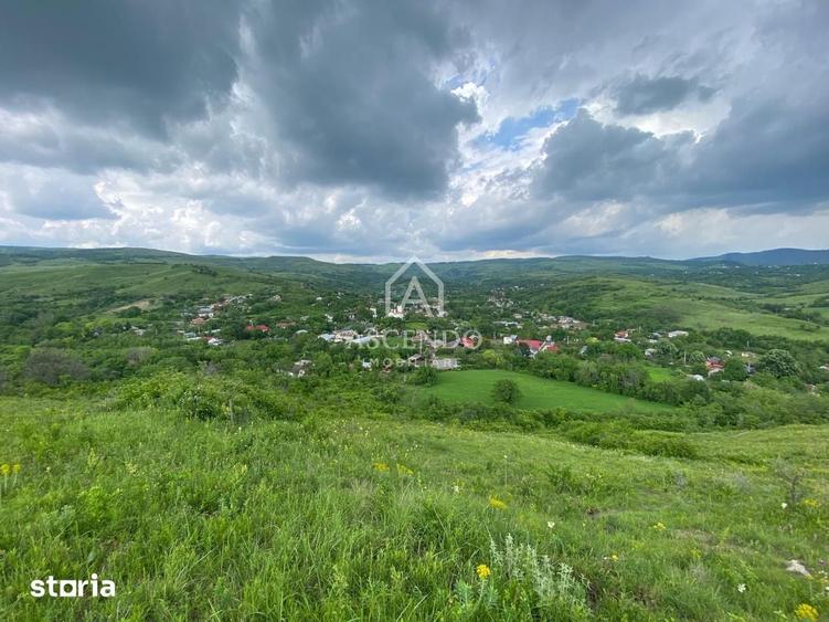 Teren de 15900 mp, în Năeni
