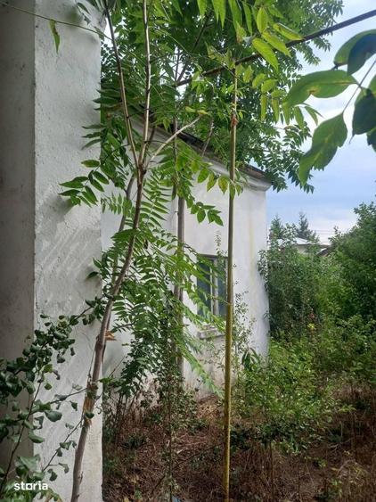 Casă cu 2 camere cu Teren 773 Mp în Central