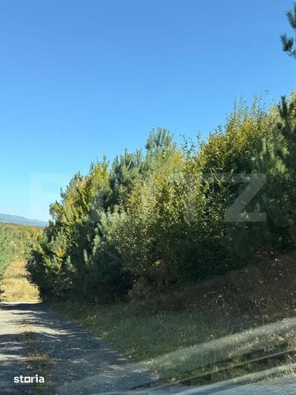 Teren de 2000 mp, în Dorobanți