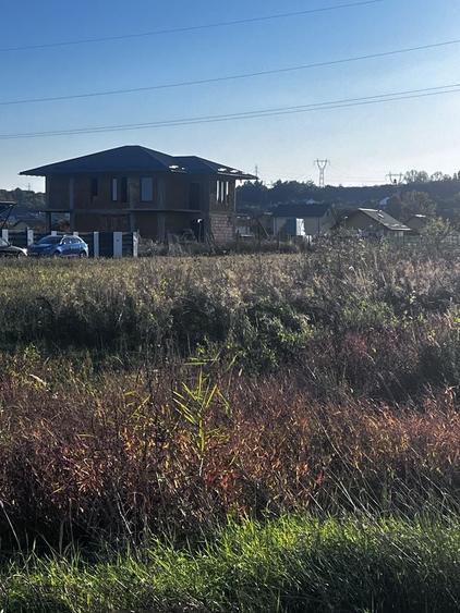 Casă cu 3 camere în Bascov