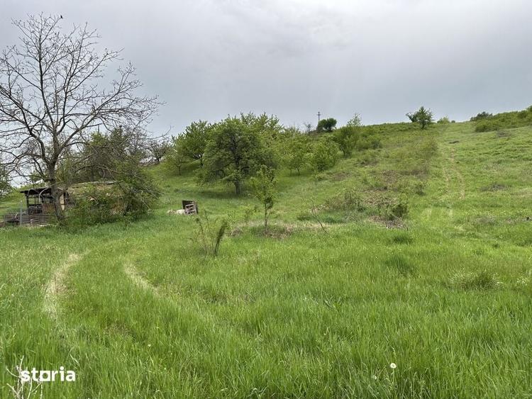 Teren intravilan 1300 mp Dealuri Oradea - 5