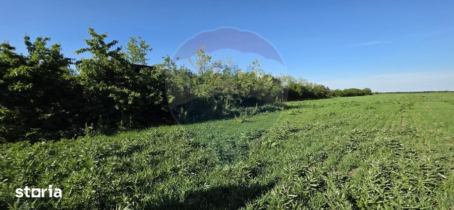 Teren de 9458 mp, în Cornești