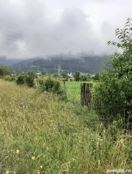Teren de 1706 mp, în Stejaru (Pângărați)