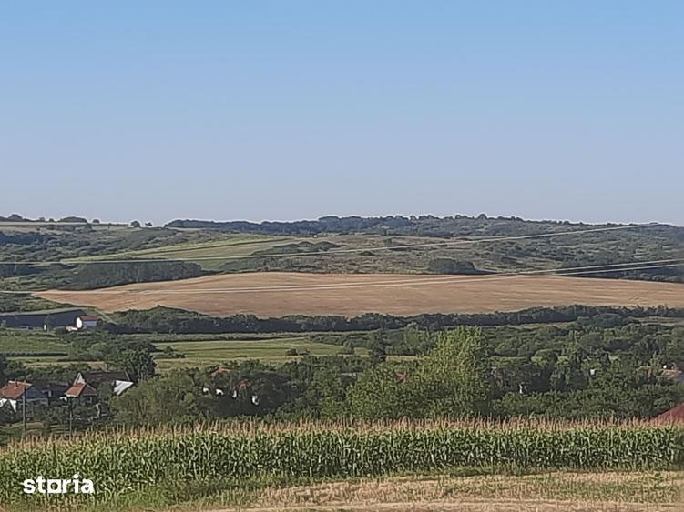 Teren de 1153 mp, în Paleu