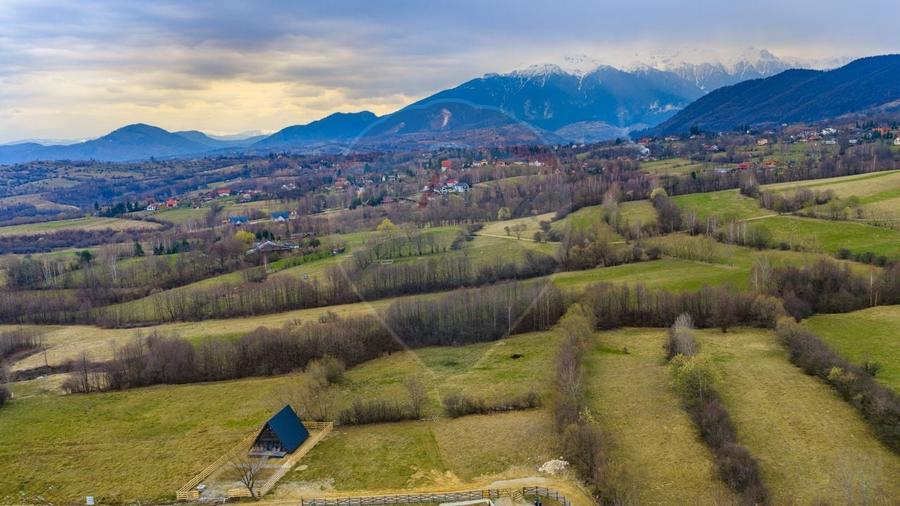 Teren Construcții intravilan de 480 mp, în Tohănița