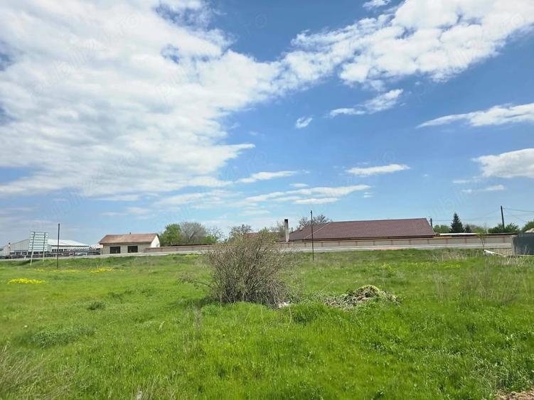 Teren de 16591 mp, în Bizighești