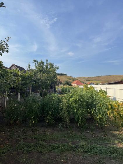Casă cu 3 camere în Viișoara
