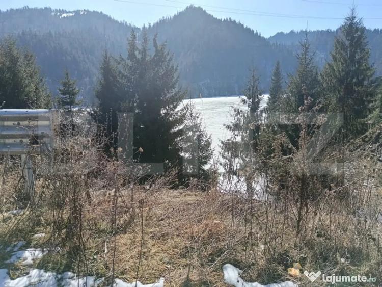 Teren intravilan de vanzare 3100 mp Colibita, front lac - 6