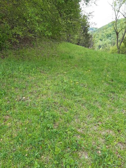 Teren de 4525 mp, în Vidra