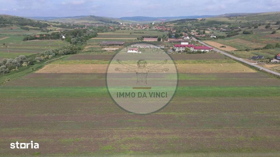 Teren de 10670 mp, în Borșa