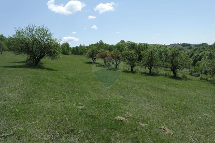 Teren extravilan de 15726 mp, în Preluca Nouă