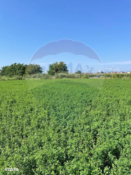 Teren de 1270 mp, în Central