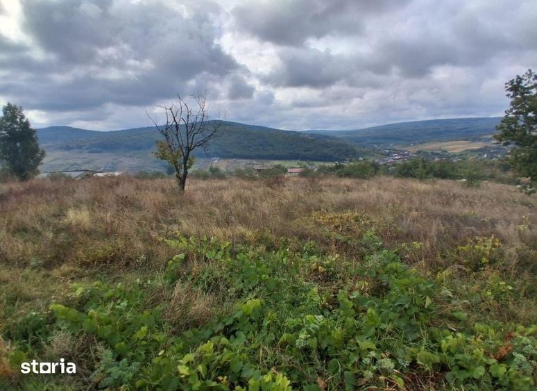 Teren de 463 mp, în Tomești