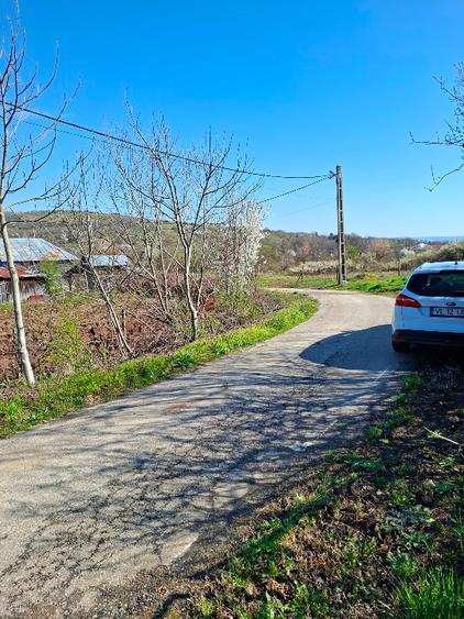 Teren Construcții extravilan de 2600 mp, în Ștefănești