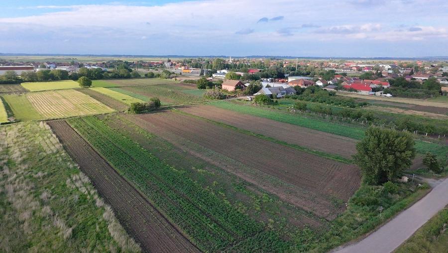 Teren de 1623 mp, în Borș