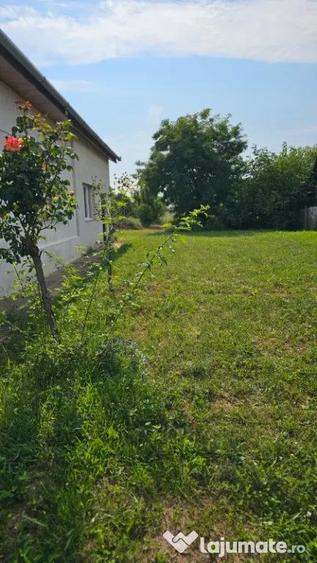 Apa, casa P+M,14 ari teren - 14