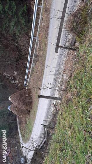 Casă cu 3 camere cu Teren 4900 Mp în Central