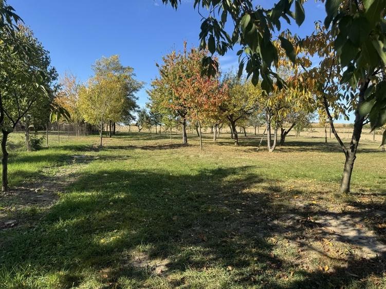 Casă cu 4 camere în Gara