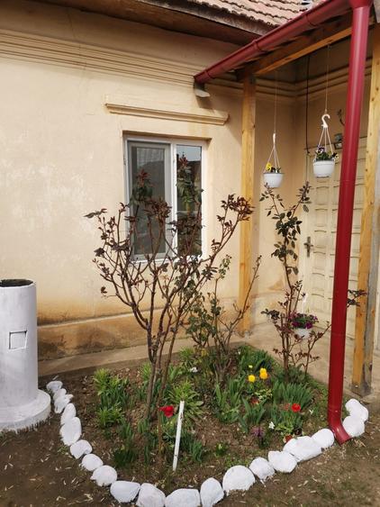 Casă cu 4 camere cu Teren 1400 Mp în Caracal