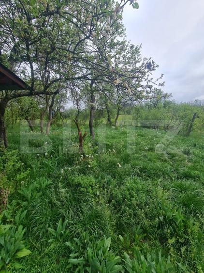 Casă individuală cu 3 camere cu Canalizare în Sânpaul