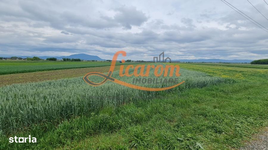 Teren de 4600 mp, în Stupini