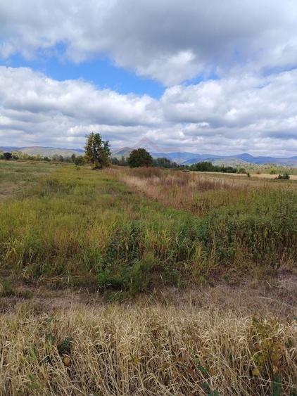 Teren agricol extravilan de 3678 mp, în Obreja