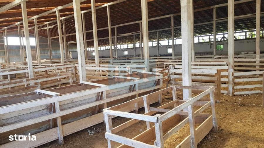 Casă cu 3 camere cu Teren 24281 Mp în Vrani