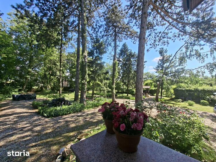 Casa cu Pini. Un refugiu in culoarea naturii. - 20