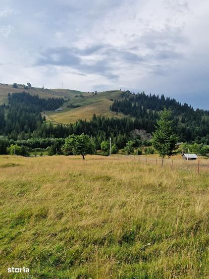 Teren de 1000 mp, în Central