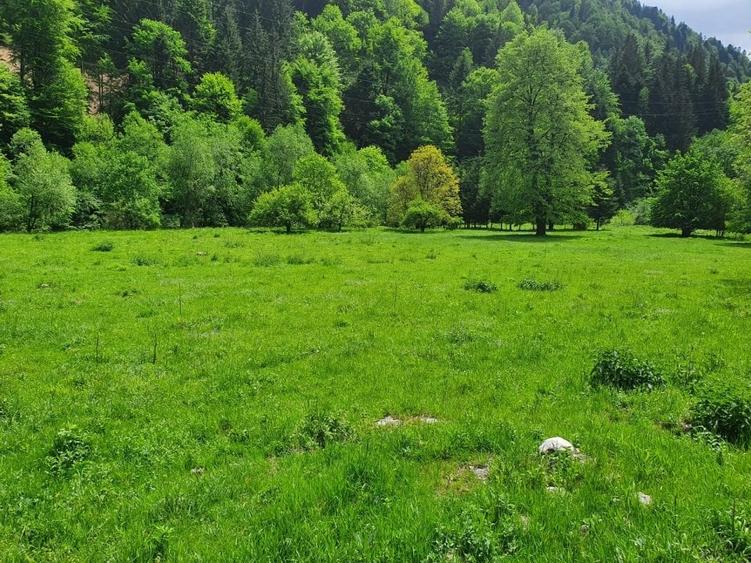 Teren Construcții intravilan de 20217 mp, în Exterior Sud