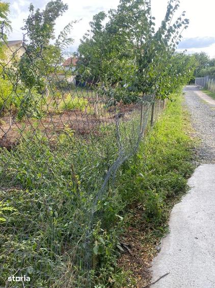 Teren de 1100 mp, în Vânători