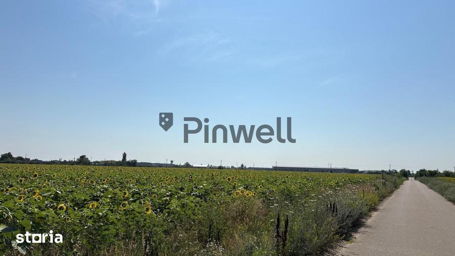 Teren intravilan 6250m| Chitila| Str. Padurii| Zona industriala| - 4