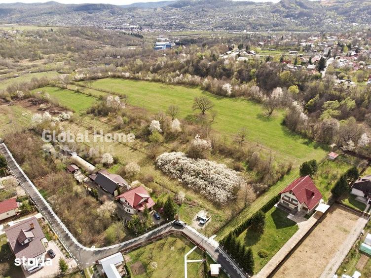 Mountain Plateau - 23.345 SQM - Exclusive Estate | Jud Prahova - Valea - 10