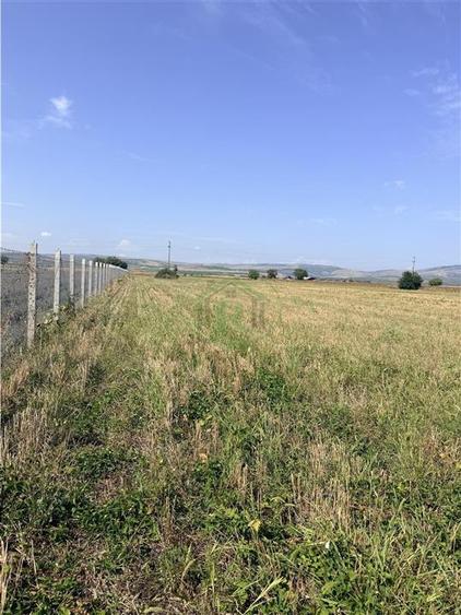 Teren DN2 B Buzau - Ploiesti - Sahateni ! - 4