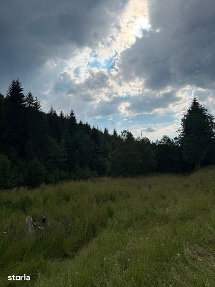 Teren de 2000 mp, în Central