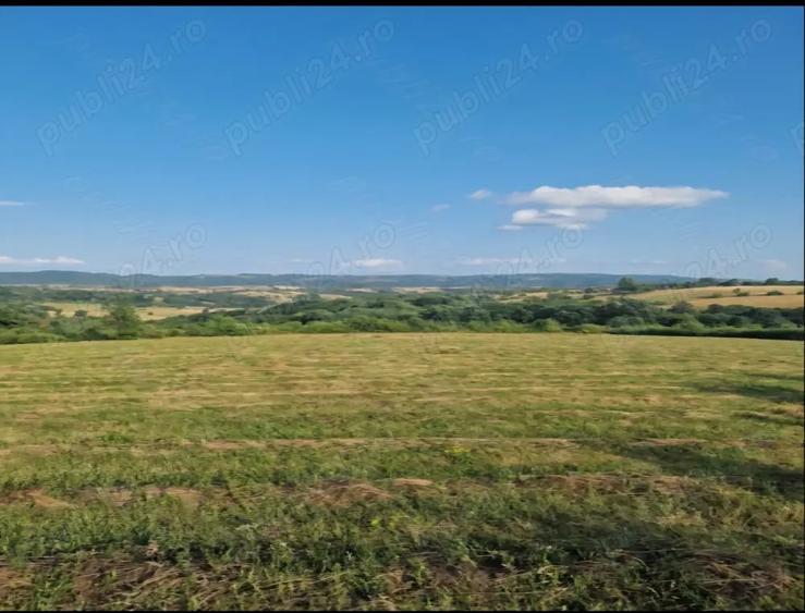 Teren de 16441 mp, în Podeni
