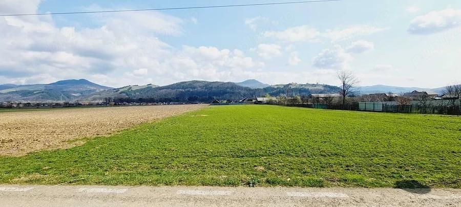 Teren de 8906 mp, în Dofteana