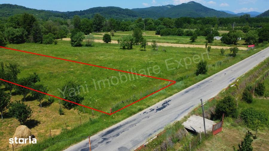 Teren de 2000 mp, în Domnești