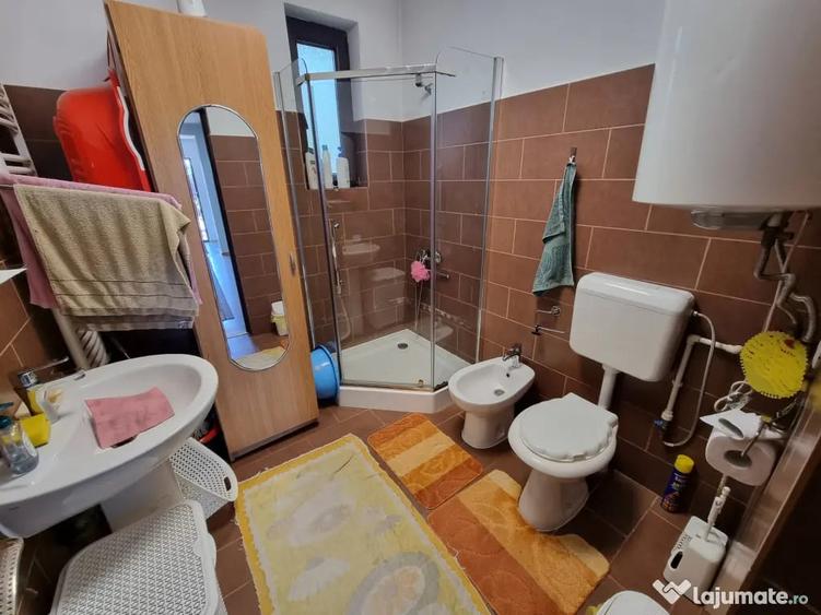 Casa cu trandafiri din Letea Veche, construc?ie 2013 - 13