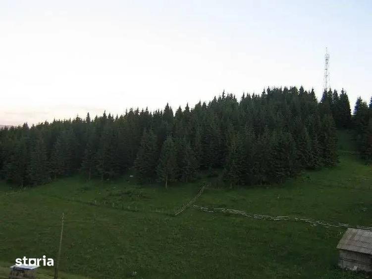 Teren de 10238 mp, în Fundata