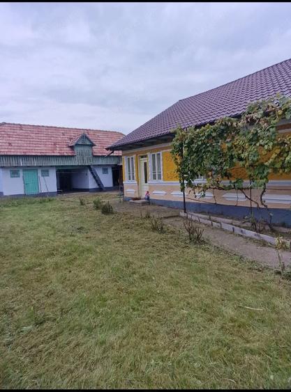 Casă cu 4 camere cu Teren 3000 Mp în Bucșești